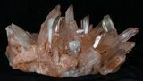 Large Tangerine Quartz Crystal Cluster - Madagascar #32249-2